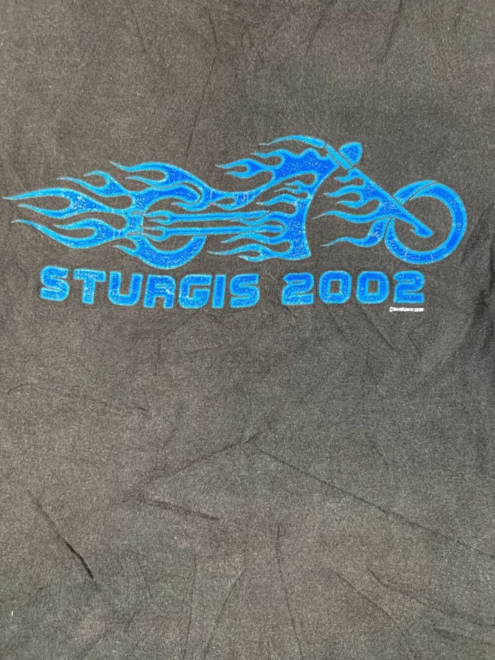 Vintage Delta Pro Weight Men XL Sturgis 2002 South Dakota Biker Graphic T-Shirt - Picture 5 of 8